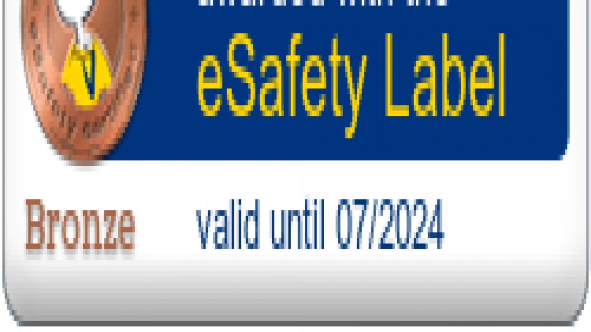 E safety label